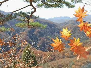 米念PARK仓储物流园 第368页