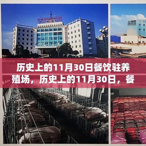 历史上的11月30日，餐饮驻养殖场的发展与变迁回顾