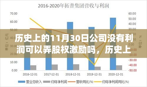 探讨历史中公司无利润情况下股权激励实施的可行性，以11月30日为例