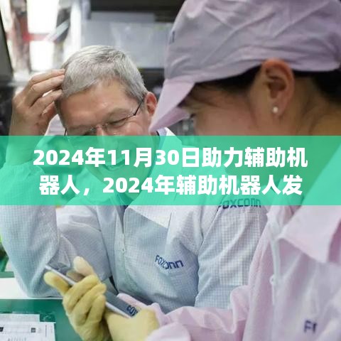 2024年辅助机器人发展的助推之力，机遇与挑战的探讨