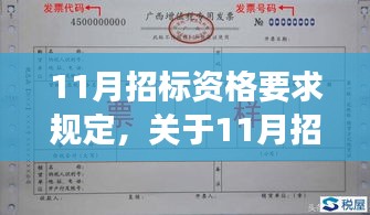 深度解读与要点解析，11月招标资格要求规定概述