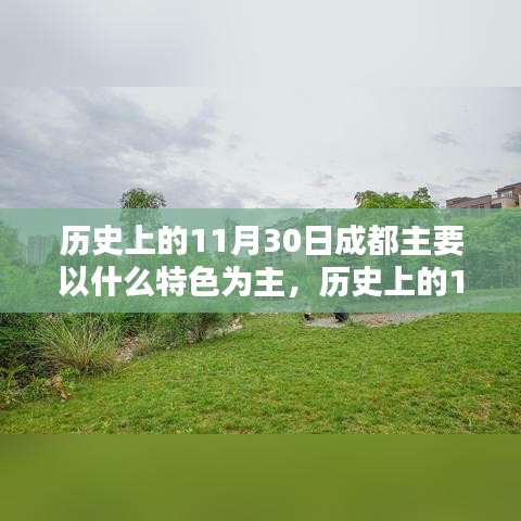 成功案例 第335页