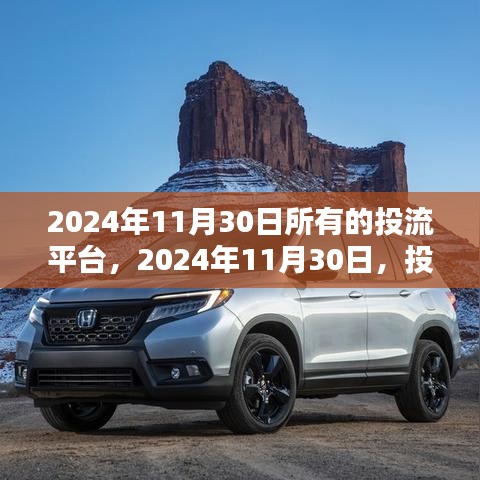 回顾与展望，2024年11月30日投流平台的繁荣及其影响深度解析