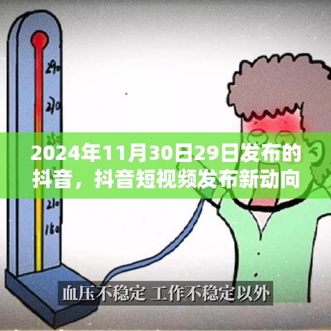 2024年11月抖音短视频运营策略解析与观点探讨，新动向与运营策略揭秘