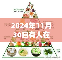 2024年11月30日美食盛宴，初学者也能掌握的享受美食技巧