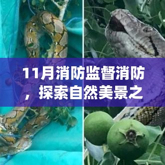 11月消防监督下的自然美景探索之旅，宁静之旅的保障与美景的双重体验