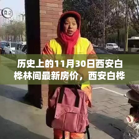 探寻西安白桦林间房价历史与心灵之旅，最新房价揭秘！