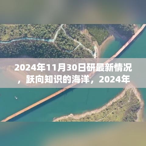 跃向知识的海洋，2024年11月30日全新学习篇章的自信闪耀与拥抱变化