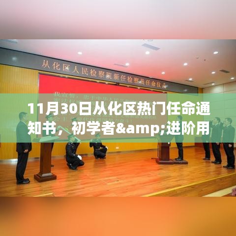 11月30日从化区热门任命通知书，初学者与进阶用户办理步骤详解