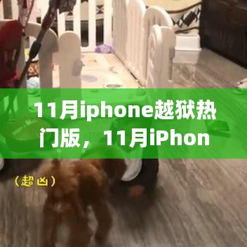 深度探讨与案例分析，揭秘十一月iPhone越狱热门版