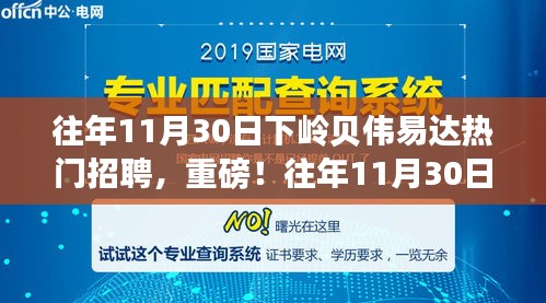 往年11月30日下岭贝伟易达热门招聘全解析，职场未来的关键在这里！