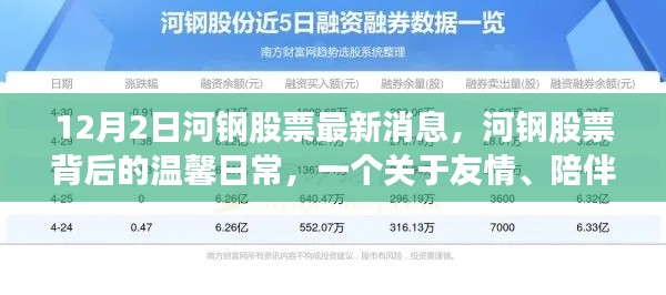 河钢股票最新动态，友情、陪伴与爱的温馨日常故事（12月2日）