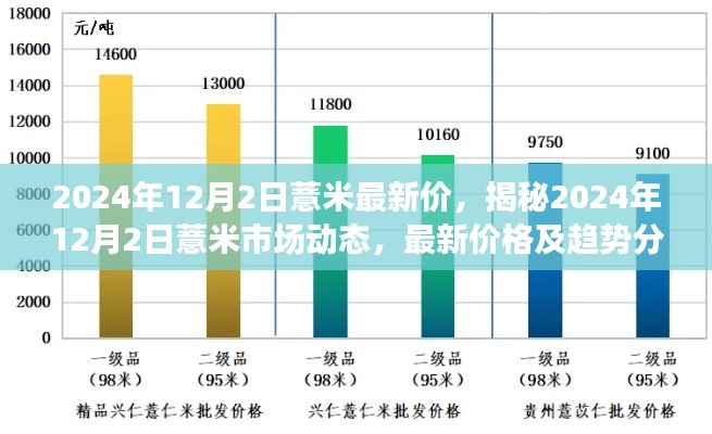 揭秘，2024年薏米市场动态与最新价格趋势分析（附详细日期）