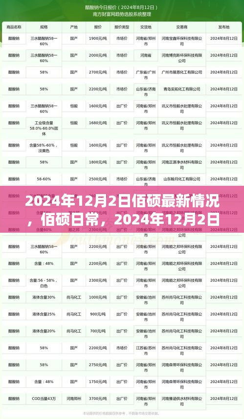 佰硕日常，2024年12月2日的最新动态与温暖时光