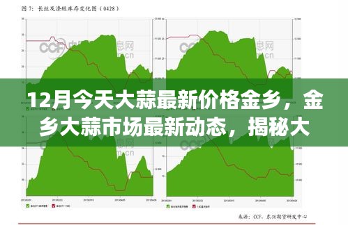 揭秘金乡大蒜市场最新动态，大蒜价格走势及最新价格分析