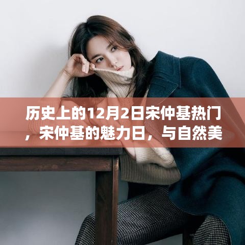 历史上的12月2日宋仲基热门，宋仲基的魅力日，与自然美景的邂逅，寻找内心的宁静之旅