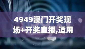 4949澳门开奖现场+开奖直播,适用设计策略_影像版41.104-4