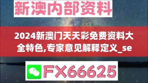 2024新澳门天天彩免费资料大全特色,专家意见解释定义_set11.799-7