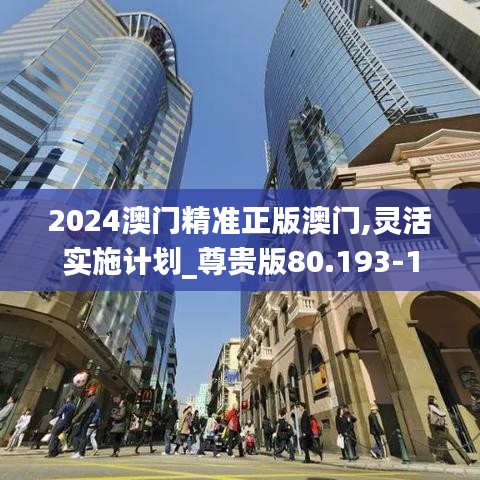 2024澳门精准正版澳门,灵活实施计划_尊贵版80.193-1