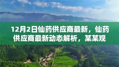 最新仙药供应商动态解析及观点探讨，12月2日更新