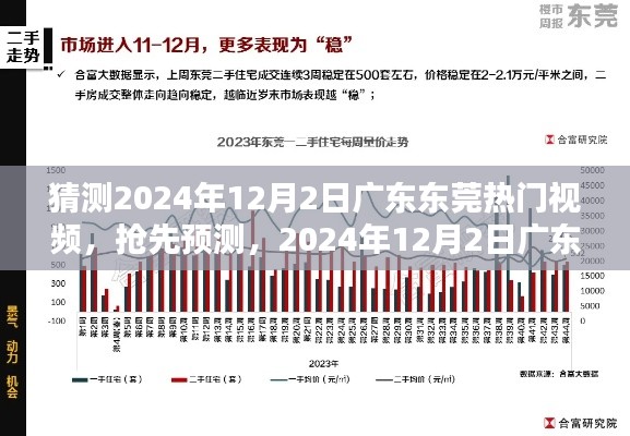 成功案例 第244页