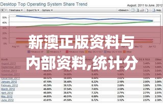 新澳正版资料与内部资料,统计分析解释定义_XP175.987-2