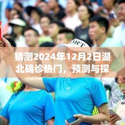 2024年湖北确诊热门展望，预测与探讨