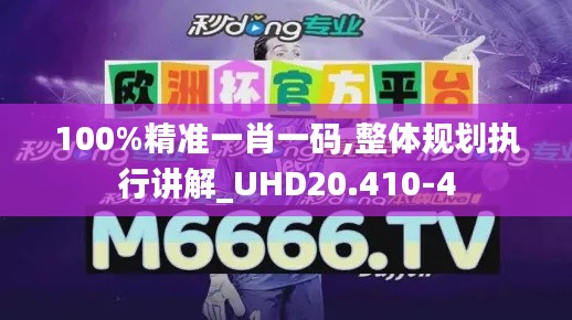 100%精准一肖一码,整体规划执行讲解_UHD20.410-4