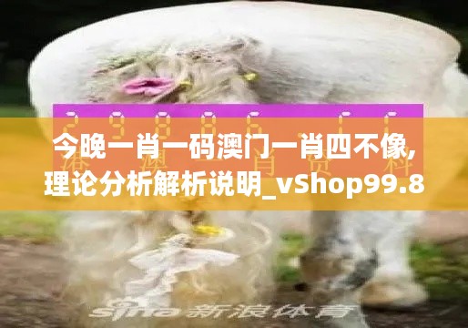 今晚一肖一码澳门一肖四不像,理论分析解析说明_vShop99.876-4