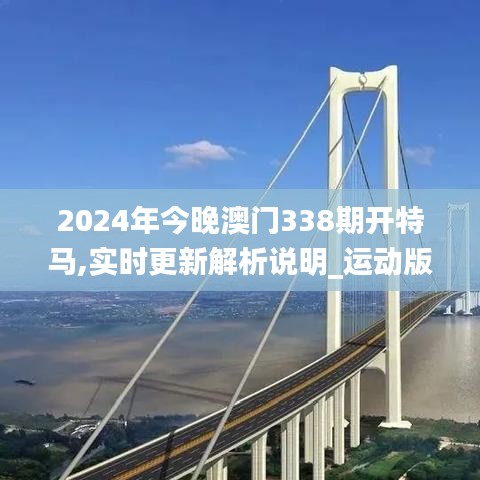 2024年今晚澳门338期开特马,实时更新解析说明_运动版15.605-4