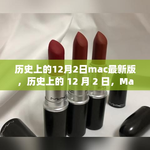 张灯挂彩 第4页