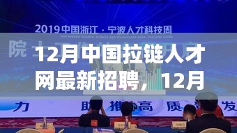 12月中国拉链人才网招聘盛启，汇聚行业精英共创未来