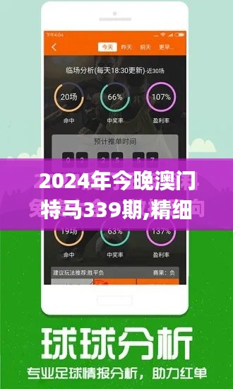 2024年今晚澳门特马339期,精细化分析说明_P版29.452-8