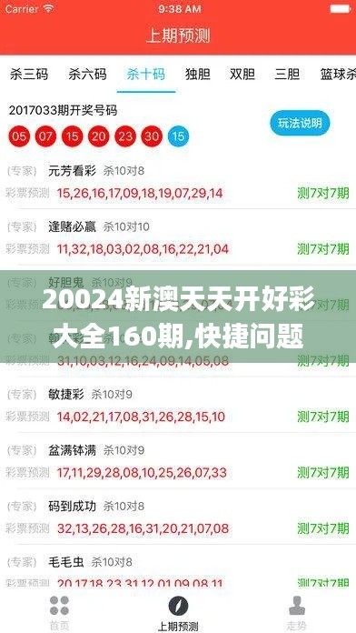 20024新澳天天开好彩大全160期,快捷问题解决指南_黄金版62.174-3