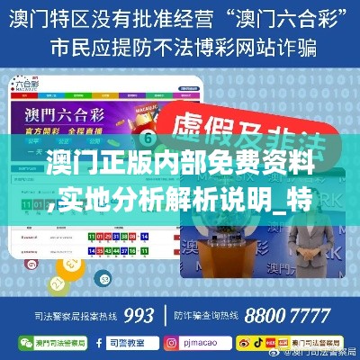 澳门正版内部免费资料,实地分析解析说明_特别版58.291-6