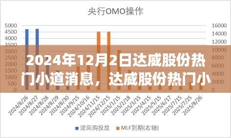 达威股份最新热门小道消息解析，全方位指南（2024年12月版）