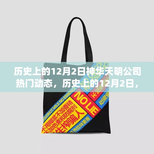 历史上的神华天明公司动态回顾，热门产品全面评测与介绍 12月2日篇