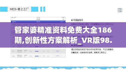 管家婆精准资料免费大全186期,创新性方案解析_VR版98.295-2