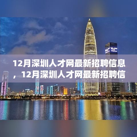 12月深圳人才网最新招聘信息，职场人的黄金机遇大揭秘