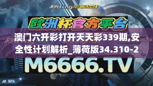 澳门六开彩打开天天彩339期,安全性计划解析_薄荷版34.310-2