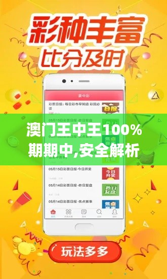 澳门王中王100%期期中,安全解析策略_移动版86.461-3