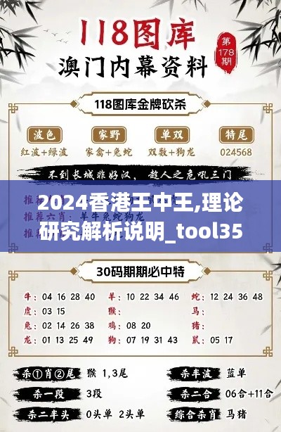 2024香港王中王,理论研究解析说明_tool35.169-3