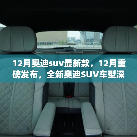 重磅发布！全新奥迪SUV车型深度评测与介绍，12月最新款奥迪SUV一览无余