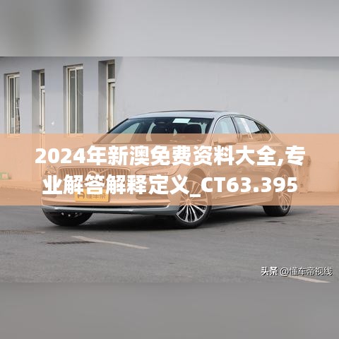 2024年新澳免费资料大全,专业解答解释定义_CT63.395