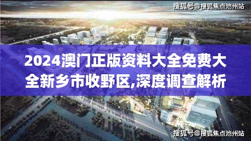 2024澳门正版资料大全免费大全新乡市收野区,深度调查解析说明_特别版95.766