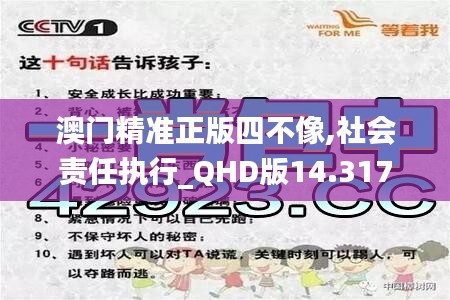 澳门精准正版四不像,社会责任执行_QHD版14.317