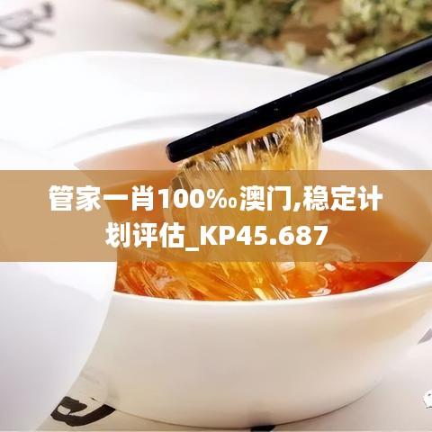 管家一肖100‰澳门,稳定计划评估_KP45.687