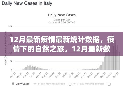 疫情下的自然之旅，最新数据与心灵的宁静之旅