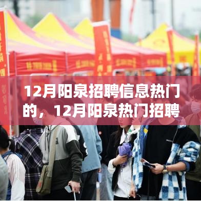 12月阳泉热门招聘信息全面解析与评测