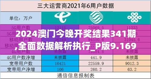 2024澳门今晚开奖结果341期,全面数据解析执行_P版9.169